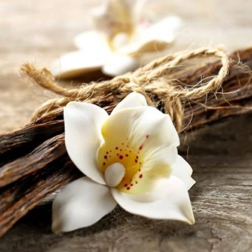 Vanilla Mint Push Scent Refill
